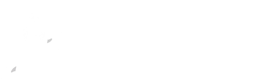BRONCOLIN